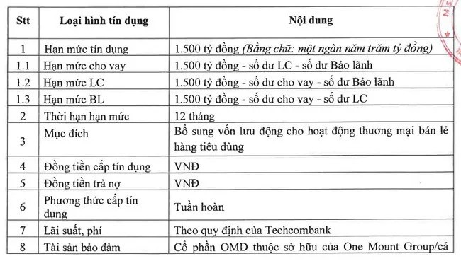 thong-tin-ve-goi-cho-vay-cua-techcomank-voi-on-mount-group-1686881894.jpg