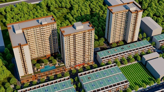 bao-4-1756531417.jpg