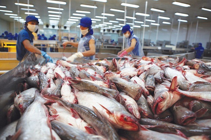 Gần 700 doanh nghiệp thủy sản Việt Nam được phép xuất khẩu vào thị trường Đài Loan.