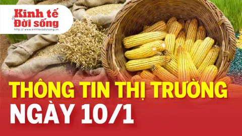 Điểm tin ngày 10/1: Giá dầu, giá vàng, giá khí gas đồng loạt tăng