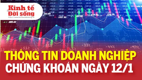 Bản tin Doanh nghiệp ngày 12/1: Tổng giám đốc CTCP Hưng Thịnh Incons (HTN – HOSE) đã bán toàn bộ hơn 5,05 triệu cổ phiếu HTN