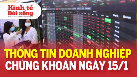 Bản tin Doanh nghiệp ngày 15/1: Viglacera bị xử phạt và truy thu thuế hơn 11 tỷ đồng