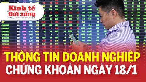 Bản tin Doanh nghiệp ngày 18/1: CTCP Phân lân Nung chảy Văn Điển bị truy thu hơn 500 triệu đồng tiền thuế