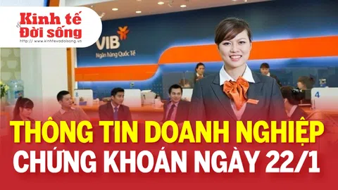 Bản tin Doanh nghiệp ngày 22/1: DIG mua hơn 1,77 triệu cổ phần Công ty Thiên Quang