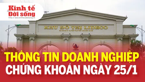 Bản tin Doanh nghiệp ngày 25/1: VIB lãi trước thuế 10.703 tỷ đồng