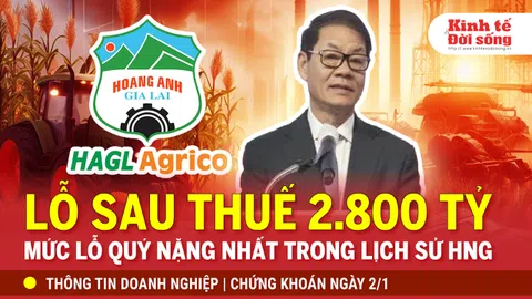 Bản tin Doanh nghiệp ngày 01/2: HNG lỗ sau thuế gần 2.800 tỷ đồng