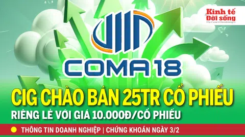 Bản tin Doanh nghiệp ngày 03/2: CIG chào bán 25 triệu cổ phiếu riêng lẻ, với giá 10 ngàn đồng