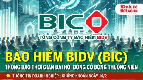 Bản tin Doanh nghiệp ngày 16/2: BIC sẽ Đại hội đồng cổ đông thường niên vào tháng 4/2024