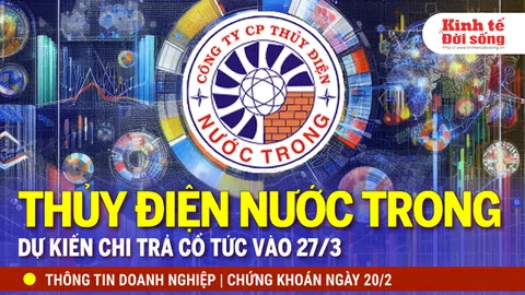 Bản tin Doanh nghiệp ngày 20/2: CTCP Thủy điện Nước Trong dự kiến chi trả cổ tức vào 27/3