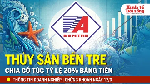 Bản tin Doanh nghiệp ngày 12/3: Thủy sản Bến Tre chia cổ tức tỷ lệ 20% bằng tiền