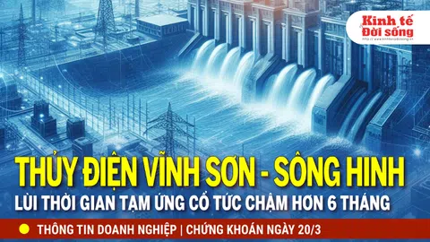Bản tin Doanh nghiệp ngày 20/3: Thủy điện Vĩnh Sơn - Sông Hinh lùi thời gian trả cổ tức hơn 6 tháng