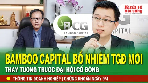 Bản tin Doanh nghiệp ngày 09/4: Bamboo Capital bổ nhiệm Tổng giám đốc mới