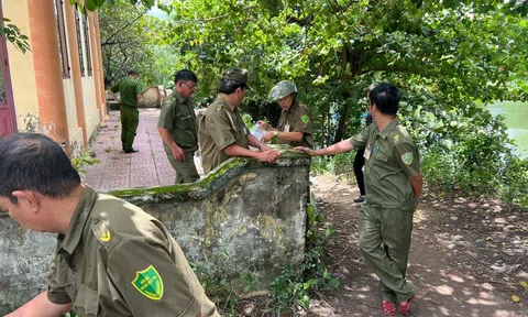 TP.HCM: Cháy phòng ngủ khóa trái, 2 sinh viên tử vong