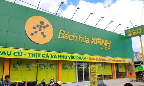 Thế giới Di động lên tiếng về việc chuỗi Bách hoá Xanh nhập giá đỗ ngâm hoá chất ở Đắk Lắk