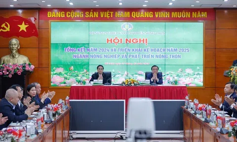 Nông nghiệp Việt Nam khẳng định vị thế quan trọng - Lập kỷ lục mới về xuất khẩu và xuất siêu