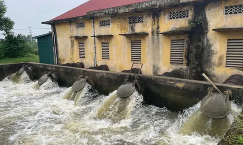 VĨnh Phúc: Kiểm tra công tác chuẩn bị lấy nước đợt I phục vụ gieo cấy vụ Đông Xuân 2024-2025