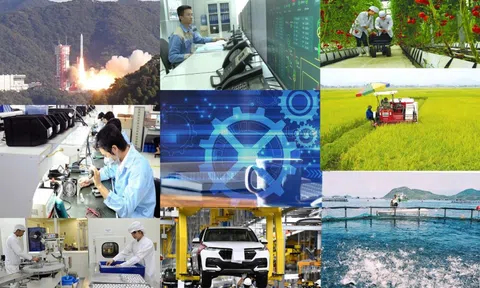 Những lĩnh vực nào, nhà đầu tư nước ngoài tập trung đầu tư trong năm 2025?