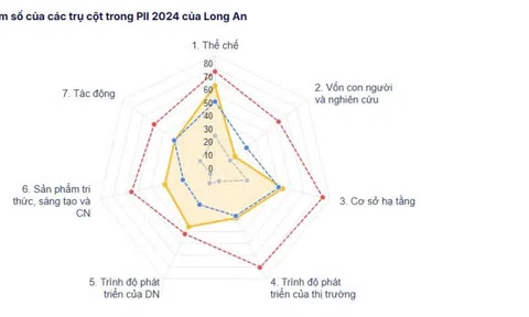 Long An xếp thứ 12 trong toàn quốc về chỉ số đổi mới sáng tạo địa phương năm 2024