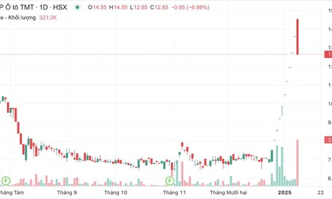 Cổ phiếu TMT nằm sàn sau 10 phiên tăng trần liên tiếp