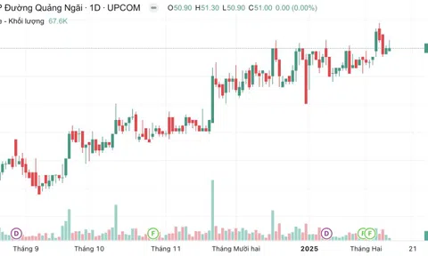 Phó Chủ tịch HĐQT Đường Quảng Ngãi muốn sở hữu trên 9% vốn công ty