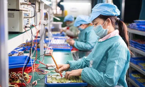 Hơn 56% doanh nghiệp FDI báo lỗ trong năm 2023