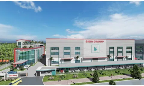 Lãnh đạo Siba Group đăng ký bán 40.800 cổ phiếu