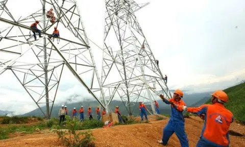 Sông Đà 11 (SJE) đặt mục tiêu lợi nhuận năm 2025 tăng 14,7% dù doanh thu dự kiến sụt giảm