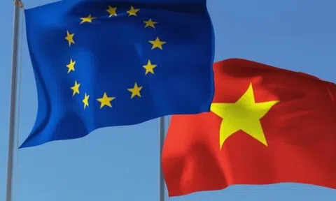 EU sẽ không áp dụng các biện pháp phòng thủ về thuế và phi thuế đối với Việt Nam