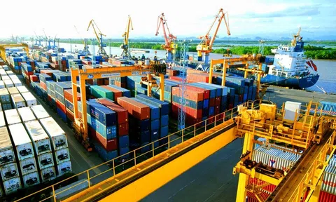 Cơ hội tham gia phiên tư vấn xuất nhập khẩu với thị trường Algeria, Senegal và Tunisia