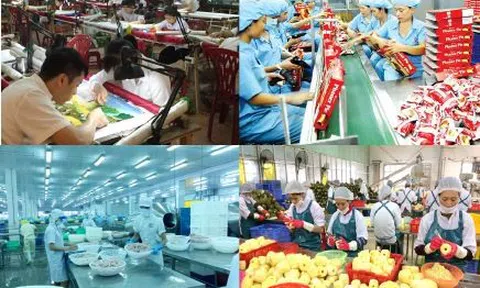 Phát triển kinh tế tư nhân: Cần rút ngắn khoảng cách tư duy, niềm tin và chiến lược bài bản, đột phá