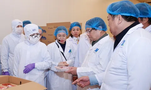 Nhà máy thịt bò Việt - Nhật: Nâng tầm ngành chăn nuôi, chế biến công nghệ cao