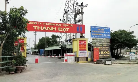 Hải Dương cho Công ty Thành Đạt thuê đất xây dựng Cụm Công nghiệp