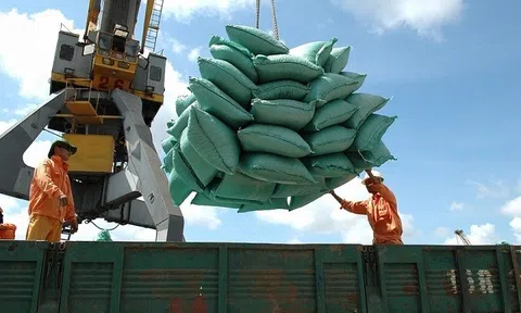 Nâng tầm giá trị hạt gạo Việt để chinh phục thị trường Nhật Bản