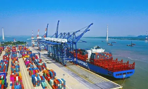 Thanh Hóa: Tổng giá trị xuất khẩu hàng hóa ước đạt 661,093 triệu USD trong tháng Năm