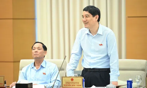 Thuế tiêu thụ đặc biệt góp định hướng tiêu dùng của người dân