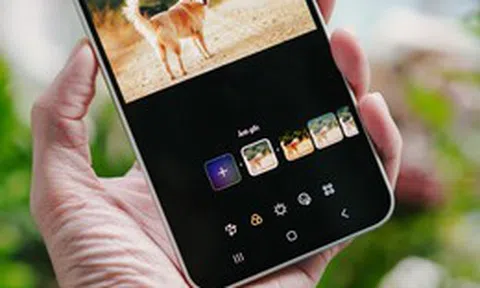 Galaxy A series mới và AI đã giúp tôi thành chuyên gia chụp ảnh chó cưng như thế nào