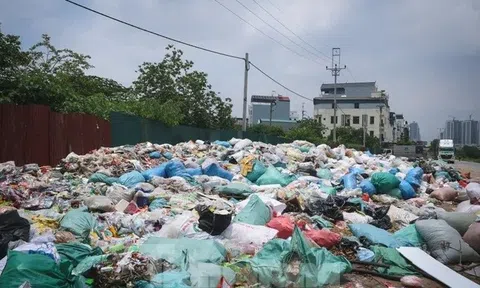 Hà Nội bắt đầu tiêu huỷ 'núi rác' bánh kẹo tại La Phù
