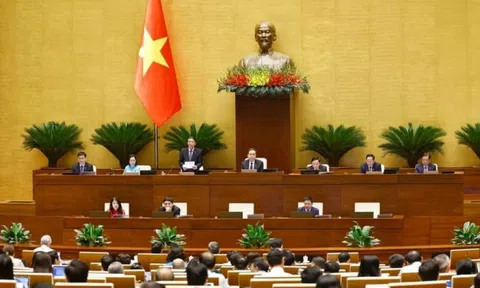 Quốc hội biểu quyết việc miễn, hỗ trợ học phí với trẻ mầm non