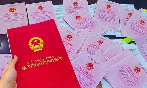 Ngân hàng “khóc ròng” với tài sản bảo đảm: Bên thế chấp thấy bất động sản tăng giá liền cố tình tạo ra tranh chấp để đòi lại