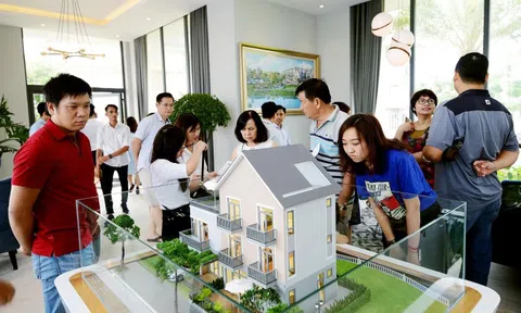 20 năm tiết kiệm mới đủ tiền mua nhà: Người trẻ Việt chịu lỡ dở giấc mộng an cư?