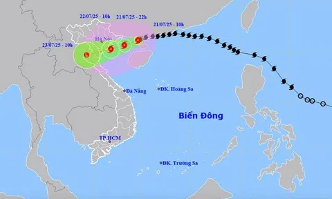 Bão Wipha tăng cấp, mưa lớn đỉnh điểm đêm nay đến sáng mai
