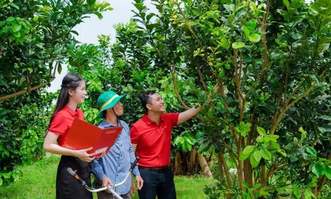 Agribank ưu đãi lớn, hỗ trợ chuyển đổi hộ kinh doanh thành doanh nghiệp