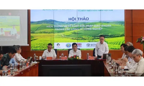 Giao khoán đất trong công ty nông nghiệp: Cần cân bằng lợi ích '2 nhà'