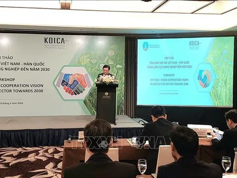 Việt Nam đẩy mạnh đa dạng hợp tác quốc tế để thích nghi và ứng phó với các thách thức từ biến động kinh tế toàn cầu