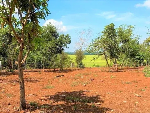 Dựng chòi trên đất ‘view’ ruộng, sông, suối: Tự nhận ‘cháu của cây tùng, cây bách’