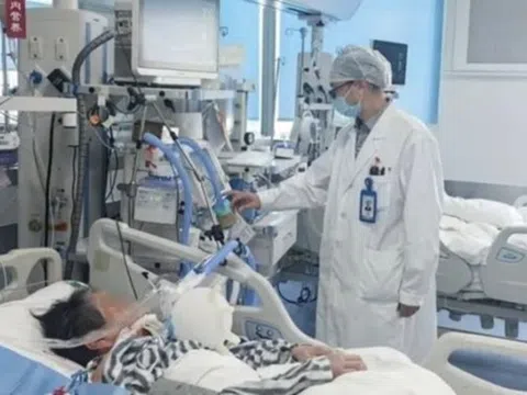 Vợ chết, chồng ngộ độc nặng sau khi ăn cơm rang trứng để qua đêm