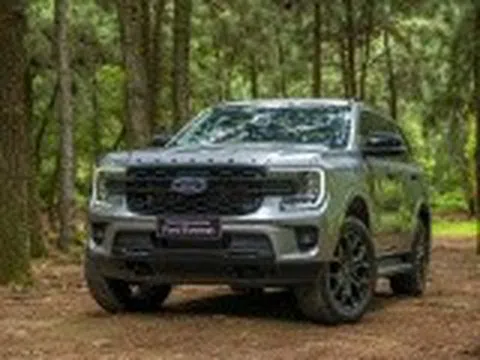 Nguy cơ hỏng phun kim, Ford Việt Nam triệu hồi 60 xe Everest