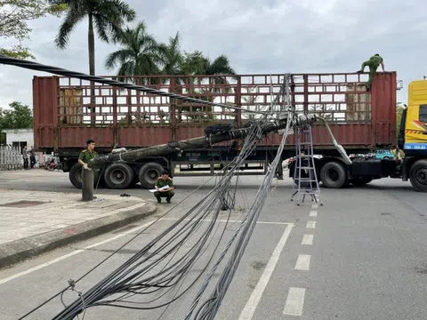 Xe container vào đường cấm, kéo gãy hàng loạt cột điện