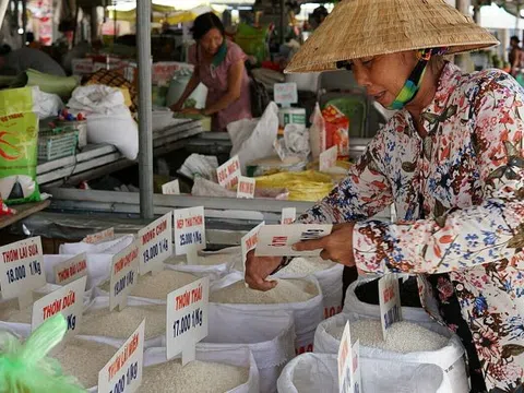 Giá lúa gạo hôm nay 5/5: Giá gạo xuất khẩu bật tăng trở lại