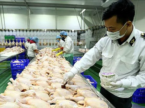 Nhiều thay đổi trong kiểm dịch sản phẩm động vật nhập khẩu